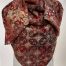 Isnia, silk scarf red