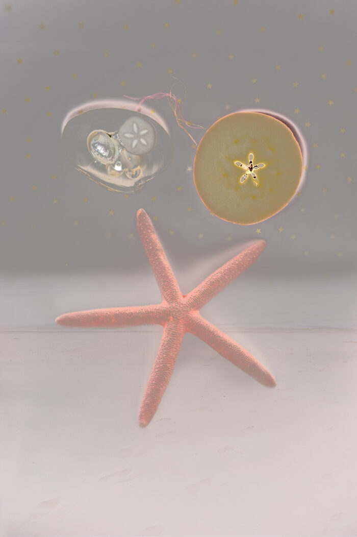 Starfish, photographic collage by Kate deVeaux